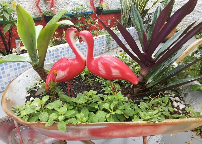 Pousada Solriso Florianópolis